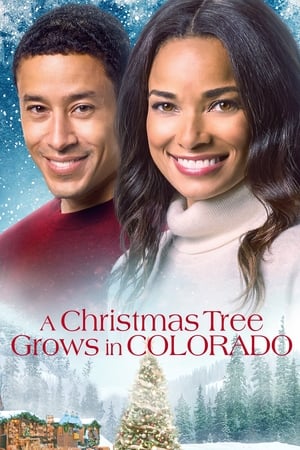 A Christmas Tree Grows in Colorado poszter