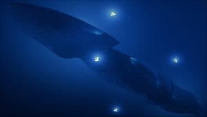 SeaQuest - A mélység birodalma kép