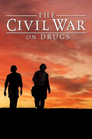 The Civil War on Drugs poszter