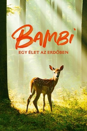 Bambi – Egy élet az erdőben