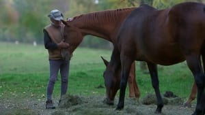 Un cavalier, un rêve, Boucane háttérkép