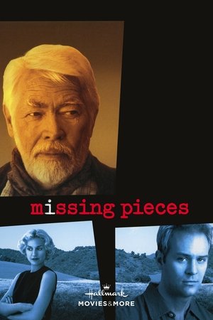 Missing Pieces poszter