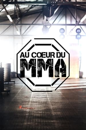 Au coeur du MMA