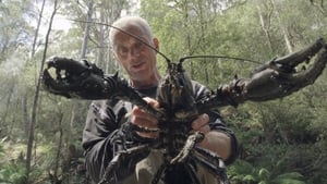 Jeremy Wade's Dark Waters Season 1 Ep.5 5. epizód