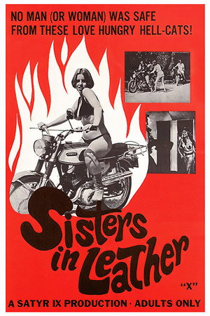 Sisters in Leather poszter