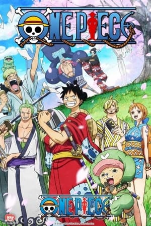 One Piece poszter