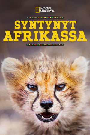 Afrikában születtek poszter