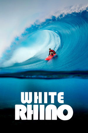 White Rhino poszter