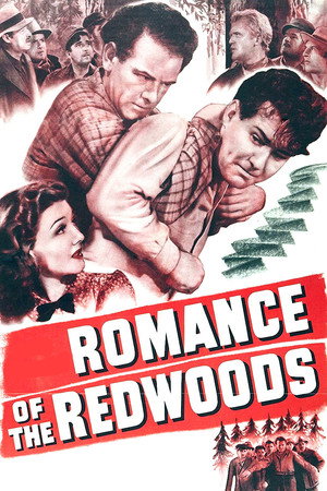 Romance of the Redwoods poszter
