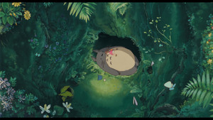 Miyazaki, l'esprit de la nature háttérkép
