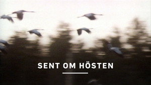 Sent om hösten háttérkép
