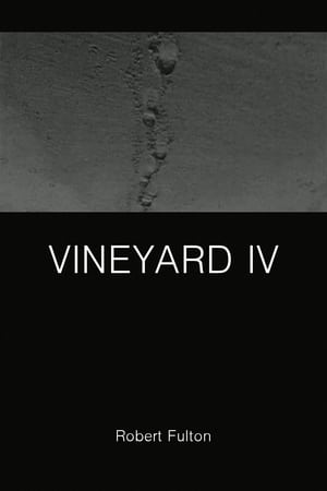 Vineyard IV poszter