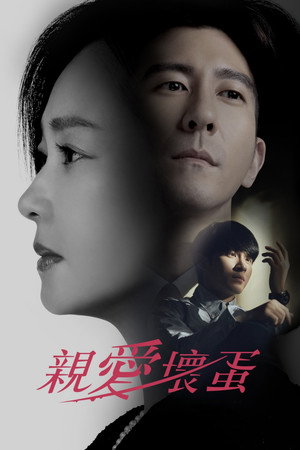 親愛壞蛋 poszter