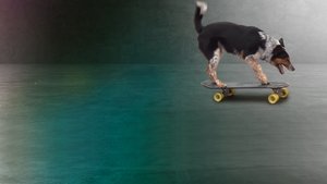World's Greatest Dogs háttérkép