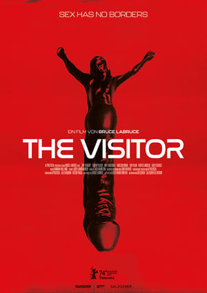 The Visitor poszter