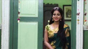 சின்னதம்பி Season 1 Ep.38 38. epizód