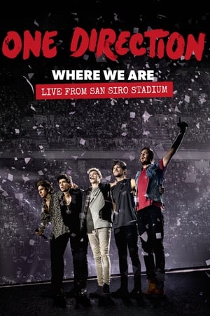 One Direction: Where We Are - The Concert Film poszter