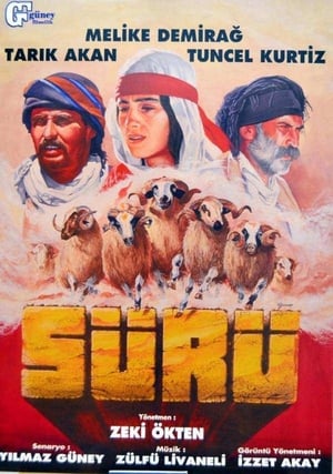 Sürü