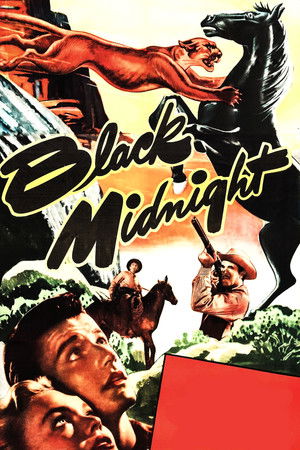 Black Midnight poszter