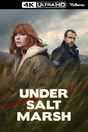 Under Salt Marsh poszter