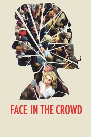 Face in the Crowd poszter