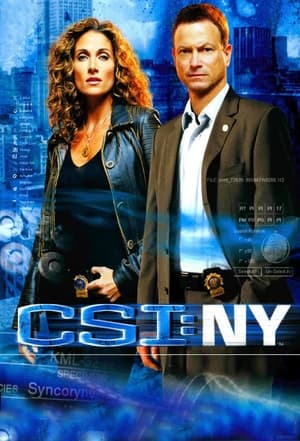 CSI: New York-i helyszínelők poszter