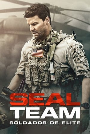 SEAL Team poszter