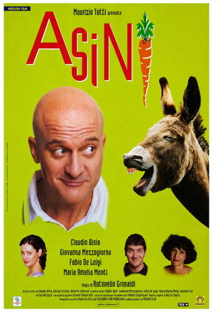 Asini poszter