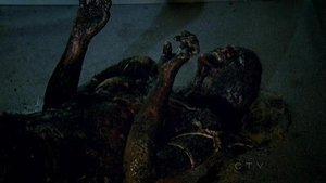 CSI: New York-i helyszínelők 9. évad Ep.2 Nincs füst tűz nélkül