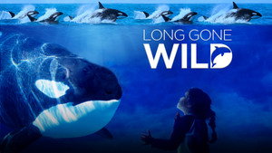 Long Gone Wild háttérkép
