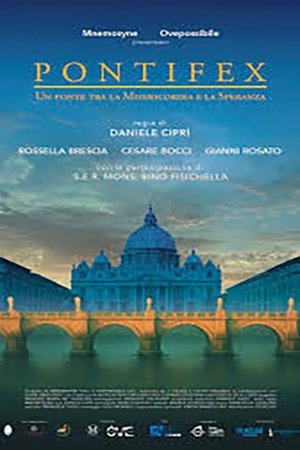 Pontifex - Un ponte tra la misericordia e la speranza poszter