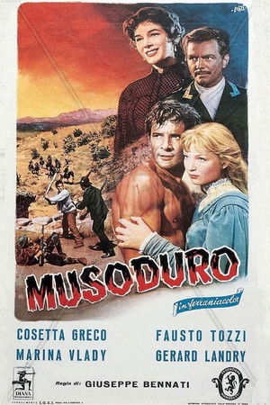 Musoduro poszter