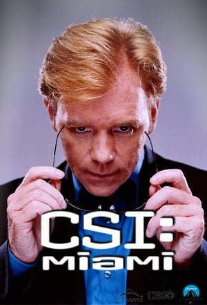 CSI: Miami-helyszínelők poszter