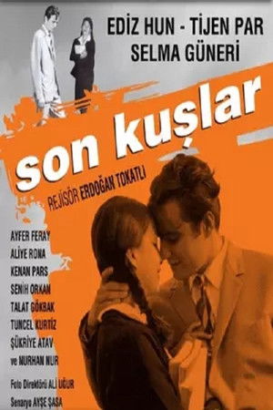 Son Kuşlar poszter
