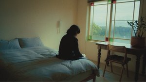 木漏れ日 háttérkép