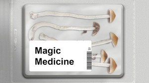Magic Medicine háttérkép