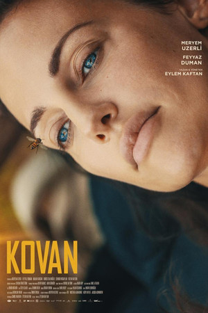 Kovan poszter