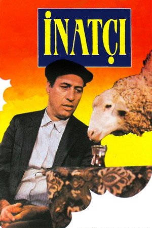İnatçı poszter