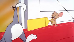 Mindent a kiscicáért! háttérkép