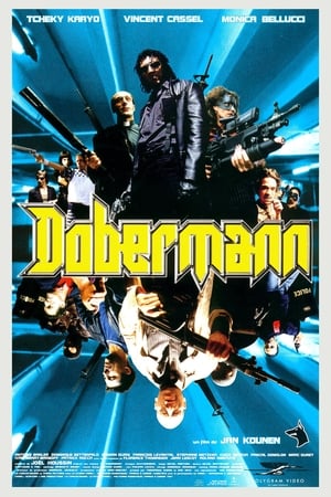 Dobermann