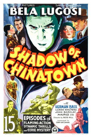 Shadow of Chinatown poszter