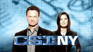 CSI: New York-i helyszínelők kép