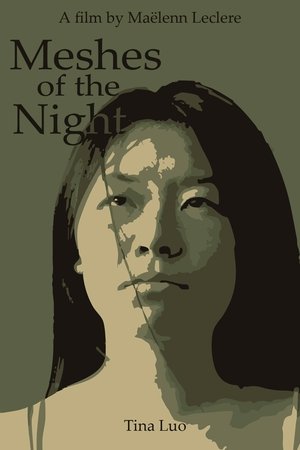 Meshes Of The Night poszter
