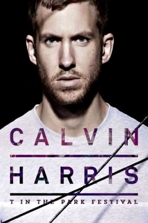 Calvin Harris: T In The Park Festival poszter