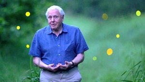 Attenborough's Life That Glows háttérkép