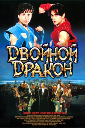 Double Dragon - A medál hatalma poszter