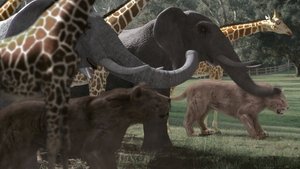 Zoombies 2 háttérkép