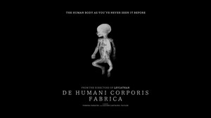De humani corporis fabrica háttérkép