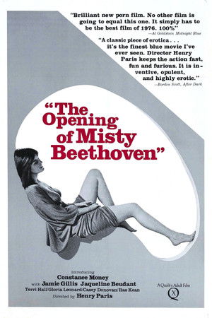 The Opening of Misty Beethoven poszter