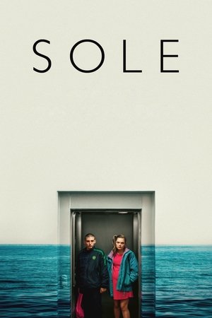 Sole poszter
